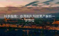 新手指南：在黑料网科技黑产解析一步到位