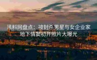 黑料网盘点：被封杀男星与女企业家地下情窦初开照片大曝光